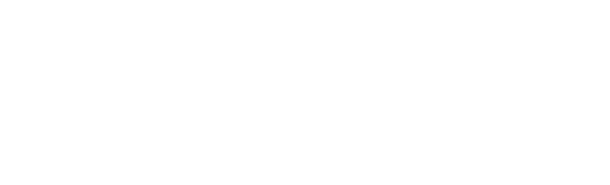 Vaolo logo